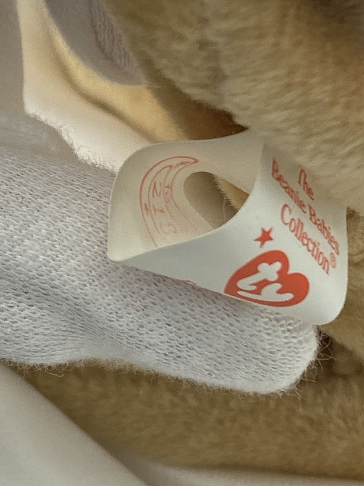 Rare Retired Ty Beanie Baby Fetch The Dog 1997-1998 Mint P.E. W Multiple Errors