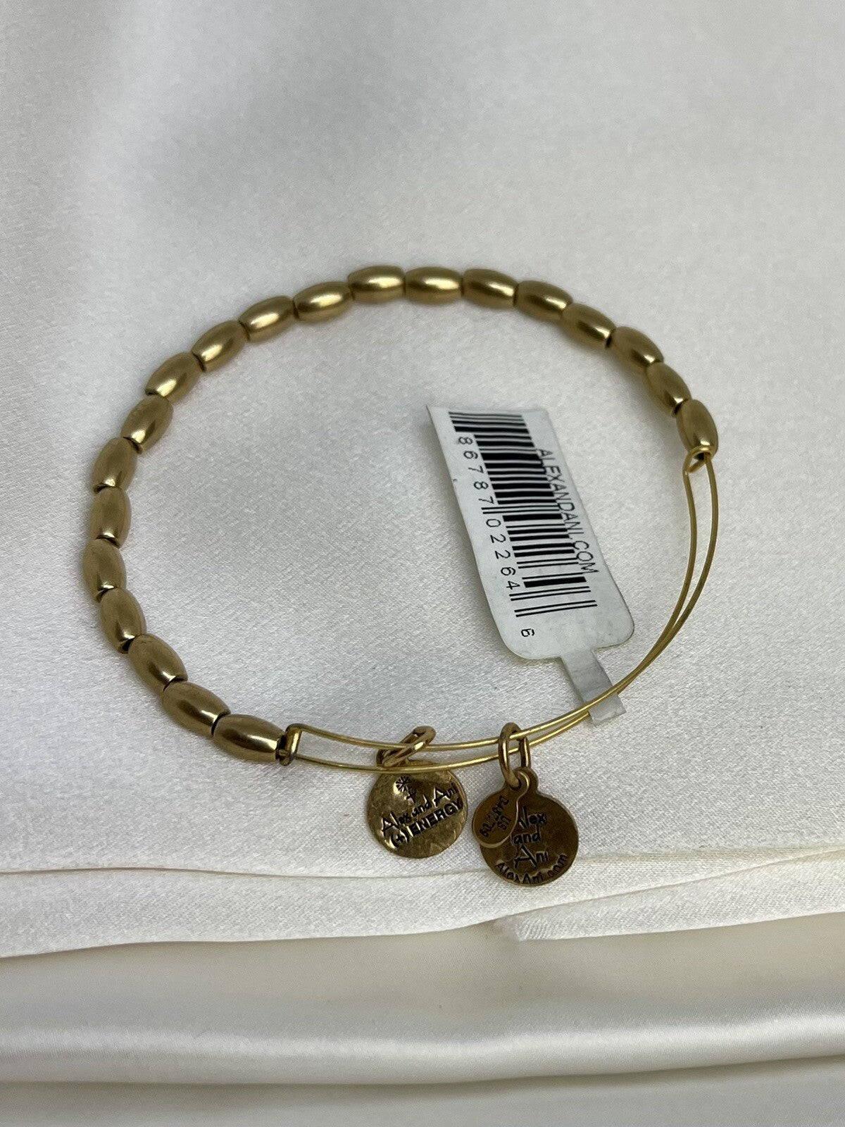 Alex and Ani Jordan Single Russian Rafaelian Gold Wrap Bangle Bracelet