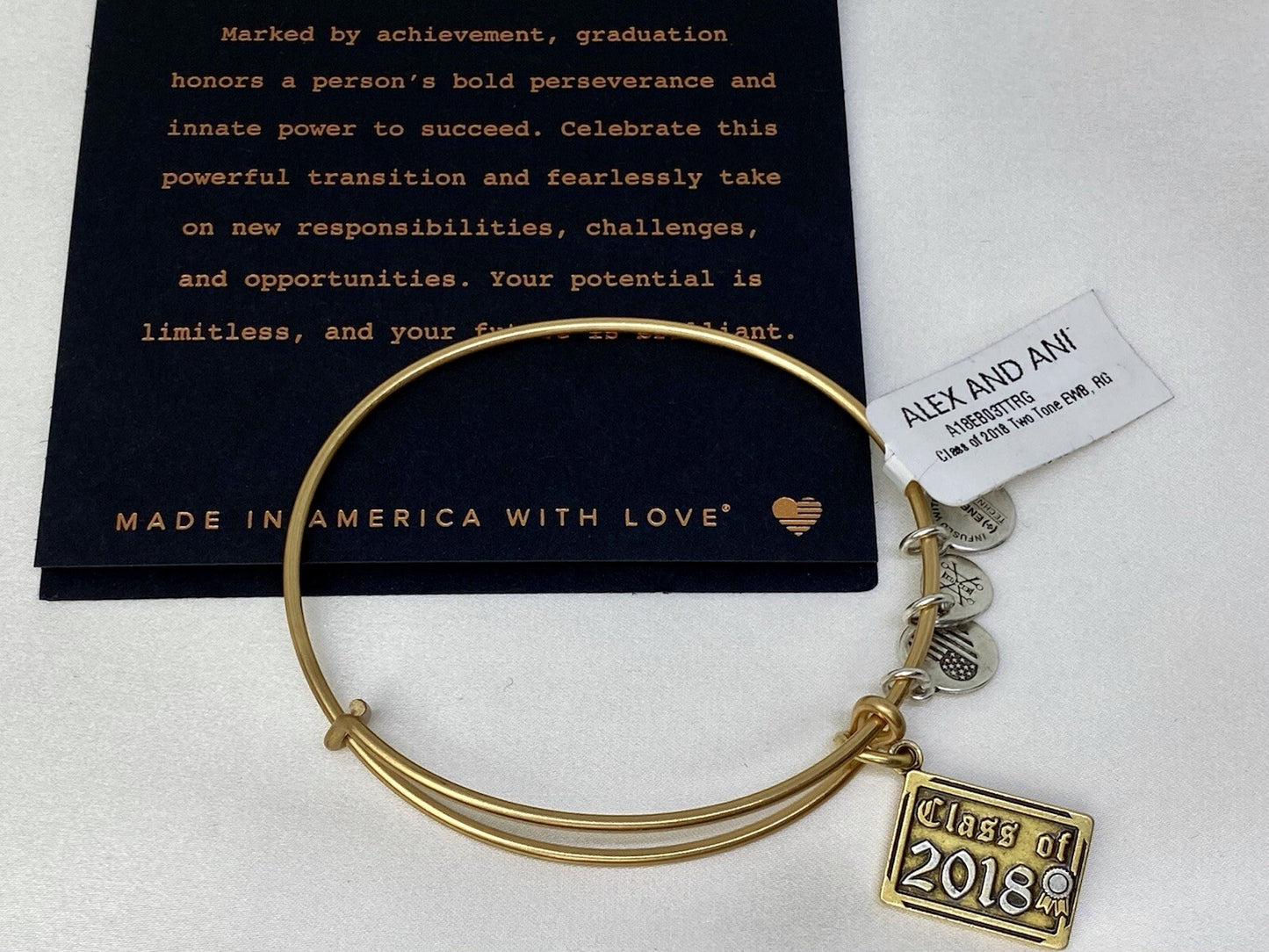 Alex and Ani Class of 2018 Two Tone Rafaelian Gold Charm Bangle Bracelet