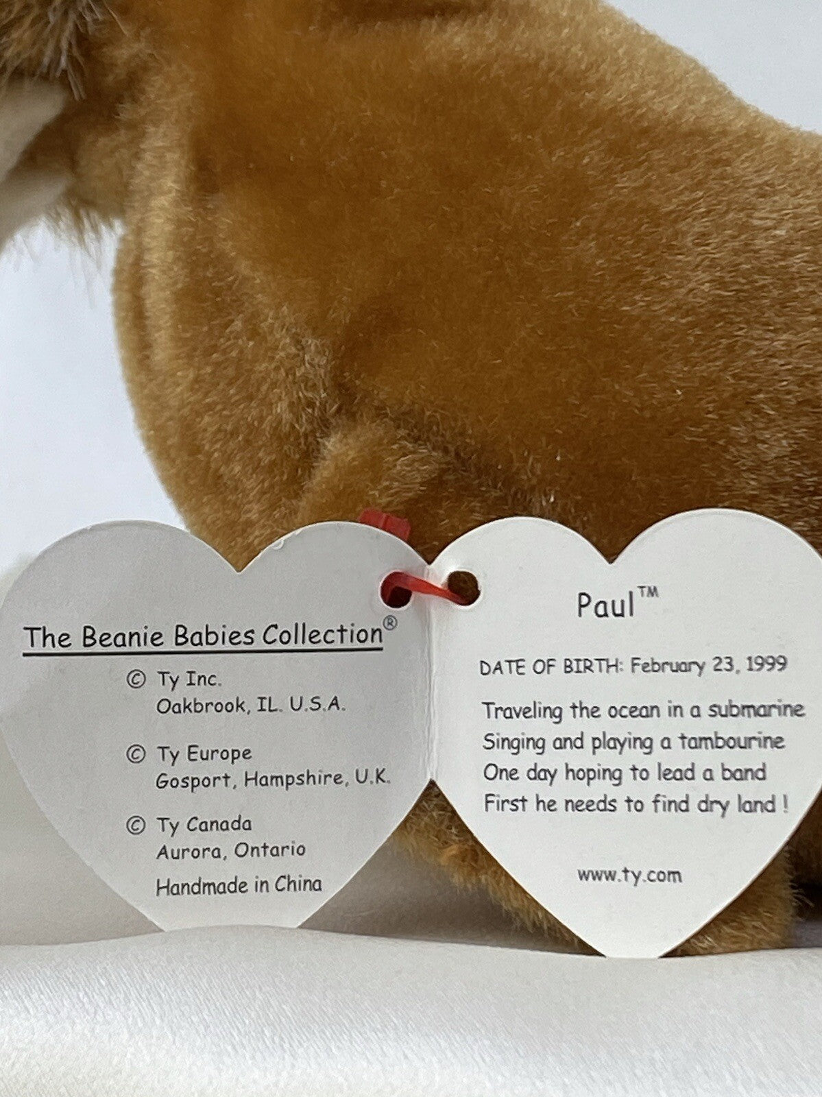 Rare Retired Ty Beanie Baby Paul The Walrus 1999 Mint P.E. Pellets With Errors