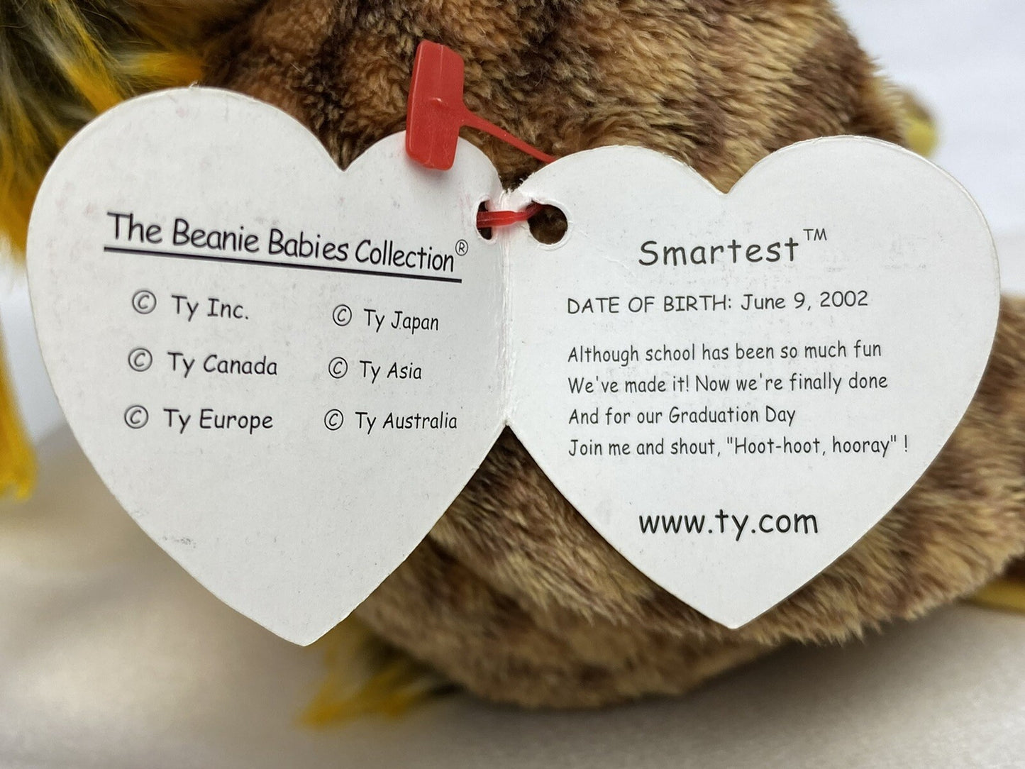 Ty Beanie Baby Smartest The Graduate Owl Plush W Hang Tag Protector 2002