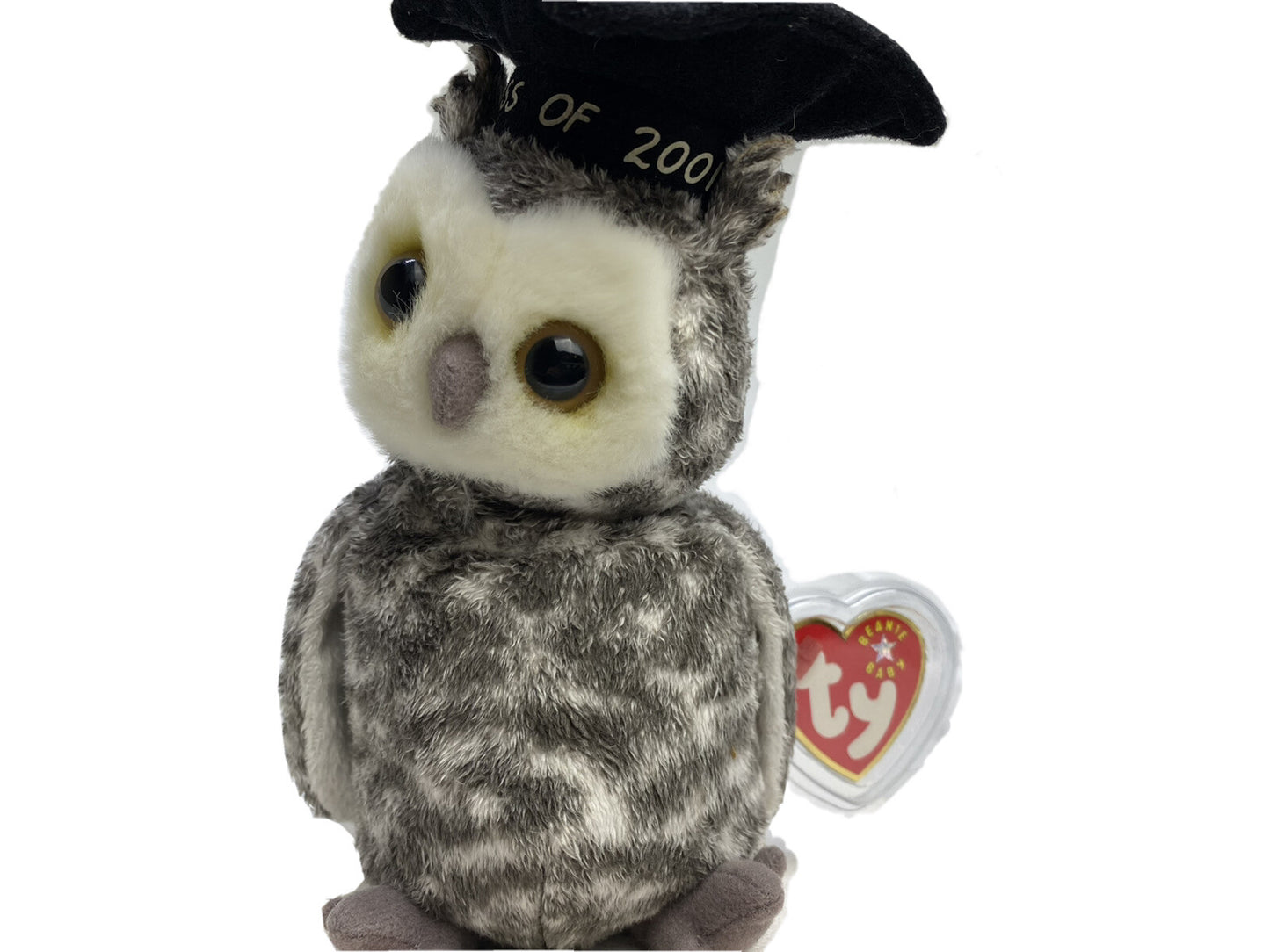 Ty Beanie Baby Smart Owl Class of 2001 Plush 2000 Hang Tag Protector with Errors