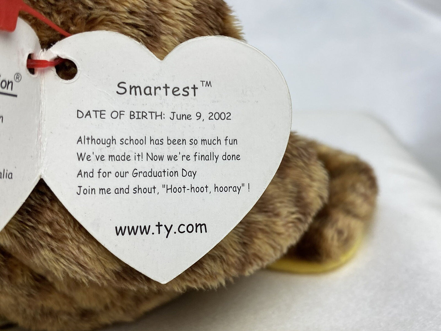Ty Beanie Baby Smartest The Graduate Owl Plush W Hang Tag Protector 2002