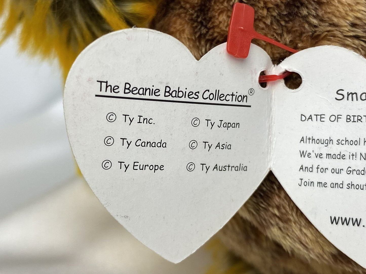 Ty Beanie Baby Smartest The Graduate Owl Plush W Hang Tag Protector 2002