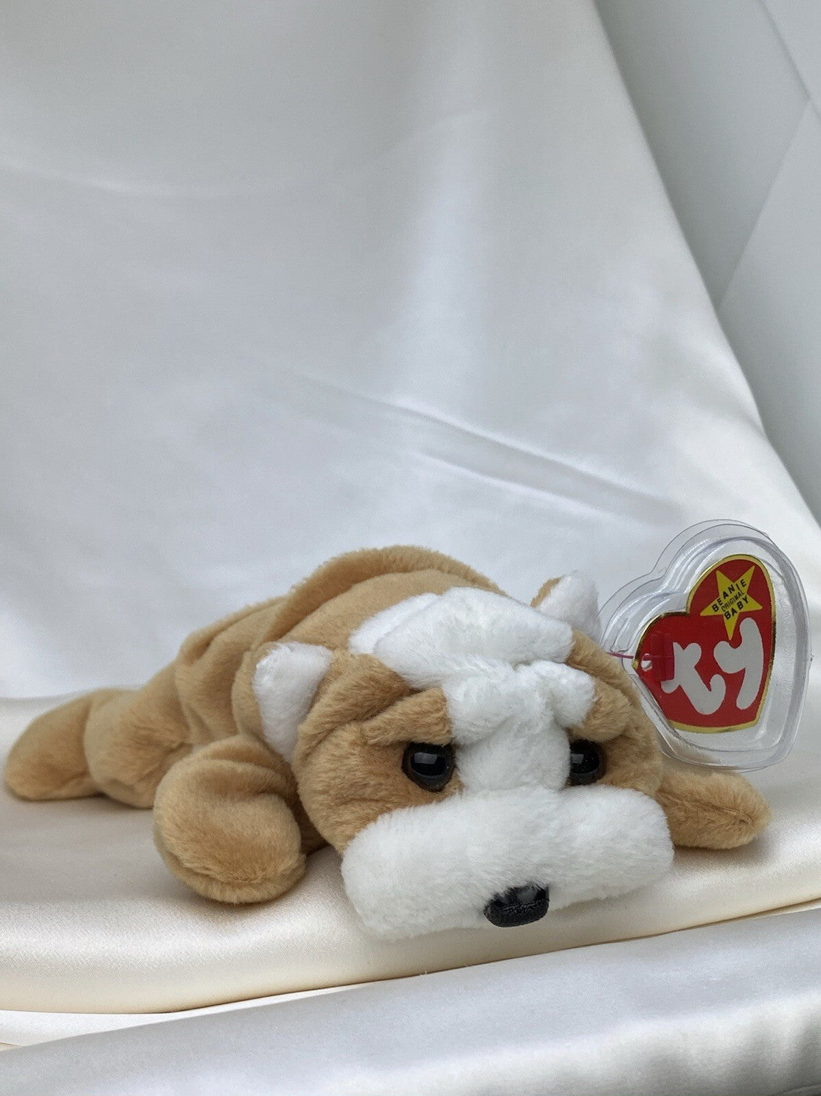 Rare Retired Ty Beanie Baby Wrinkles The Dog 1996 Mint P.V.C. W Numerous Errors