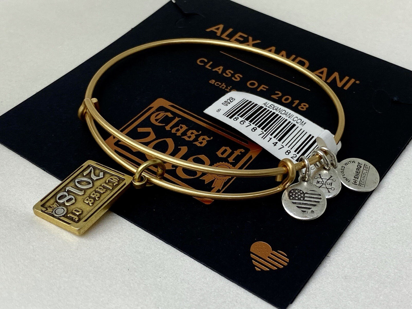 Alex and Ani Class of 2018 Two Tone Rafaelian Gold Charm Bangle Bracelet