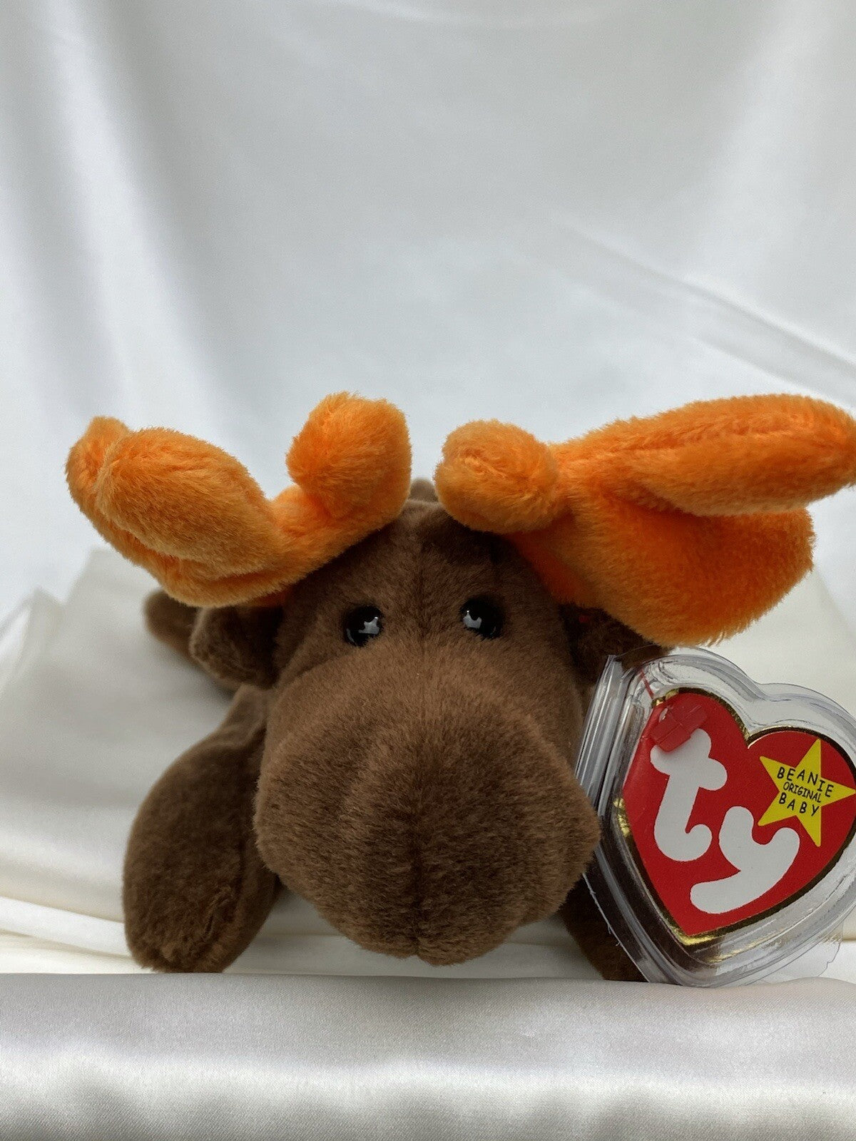 Rare Retired Ty Beanie Baby Chocolate The Moose 1993 Pellets W Errors & Tag Mint