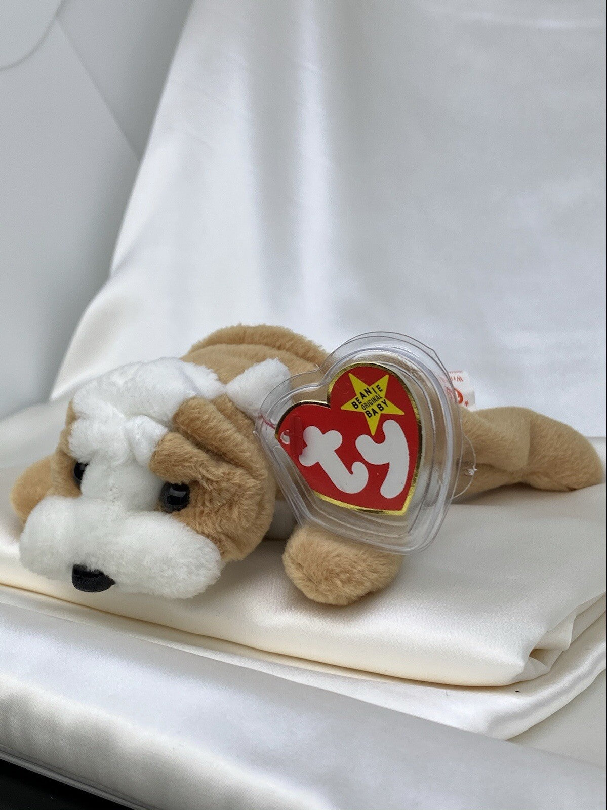 Rare Retired Ty Beanie Baby Wrinkles The Dog 1996 Mint P.V.C. W Numerous Errors