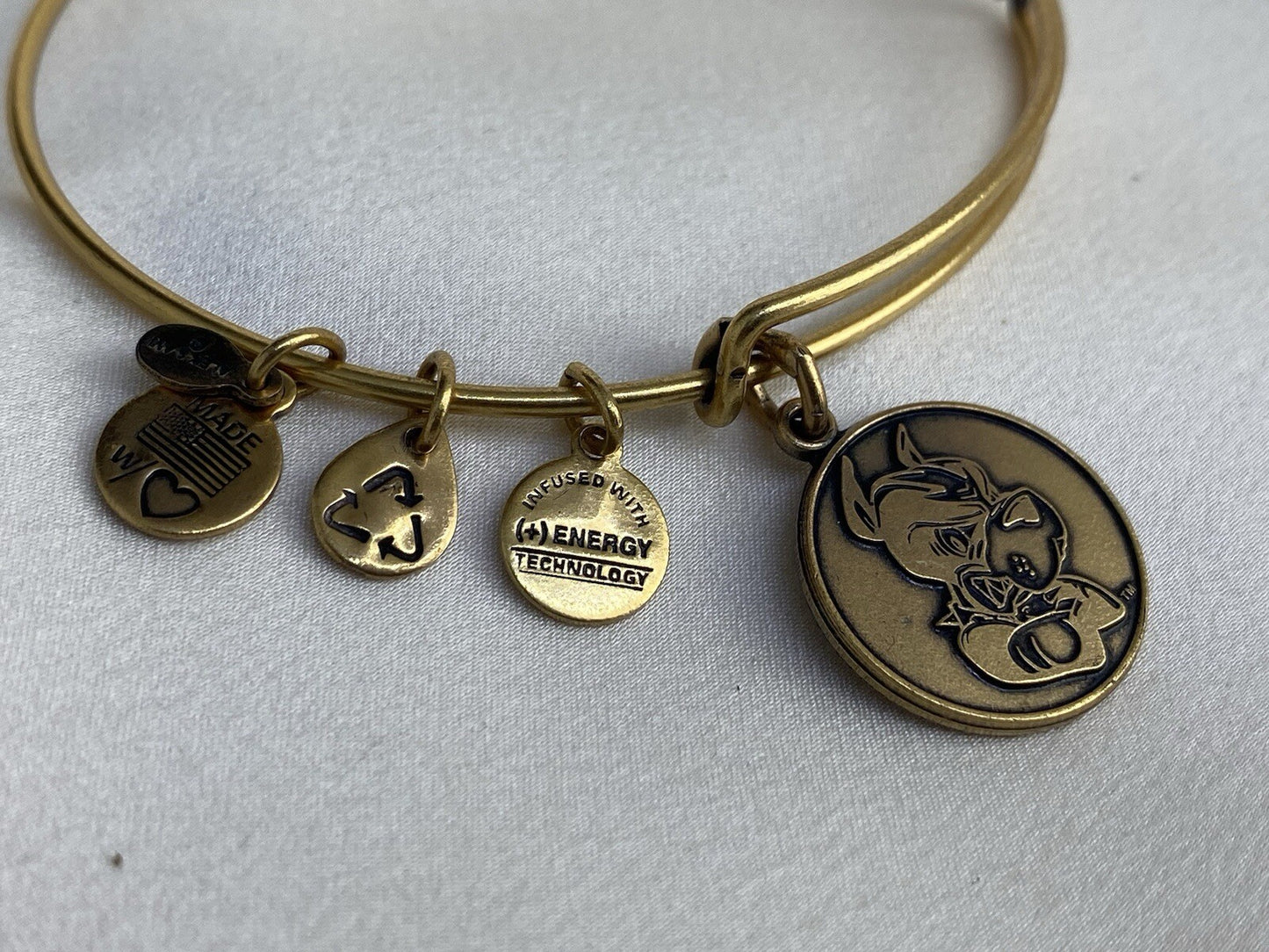 Alex and Ani Boston Pride University Mascot Rafaelian Gold Wrap Bracelet