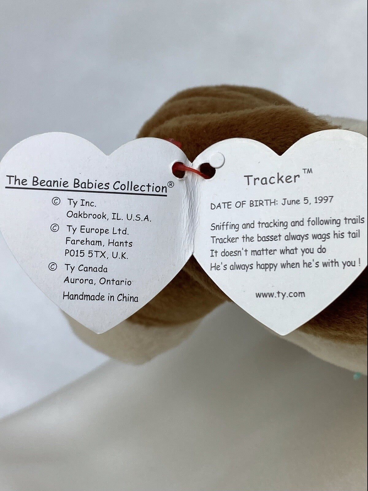 Rare Retired Ty Beanie Baby Tracker The Dog 1997-1998 Mint P.E. Multiple Errors