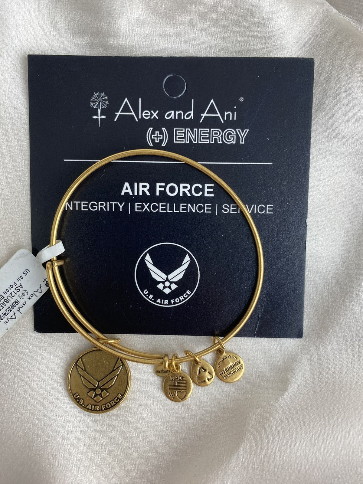 Alex and Ani US Air Force Rafaelian Gold Charm Bangle Bracelet Service