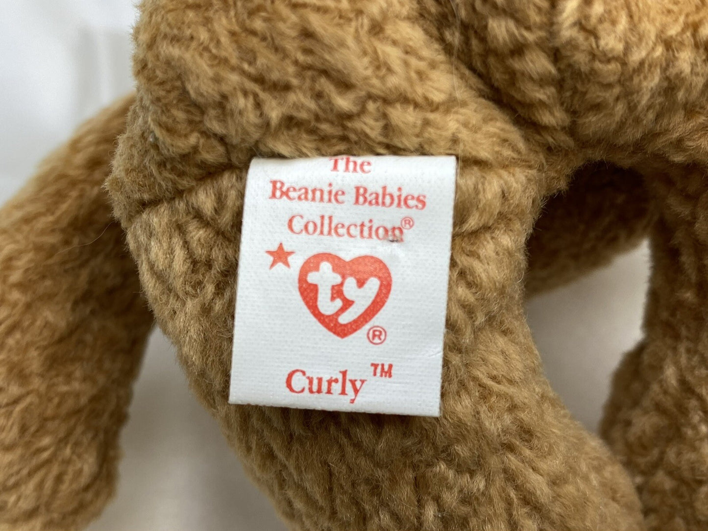 Rare Retired Ty Beanie Baby Curly The Bear 1993 1996 Bear With Numerous Errors
