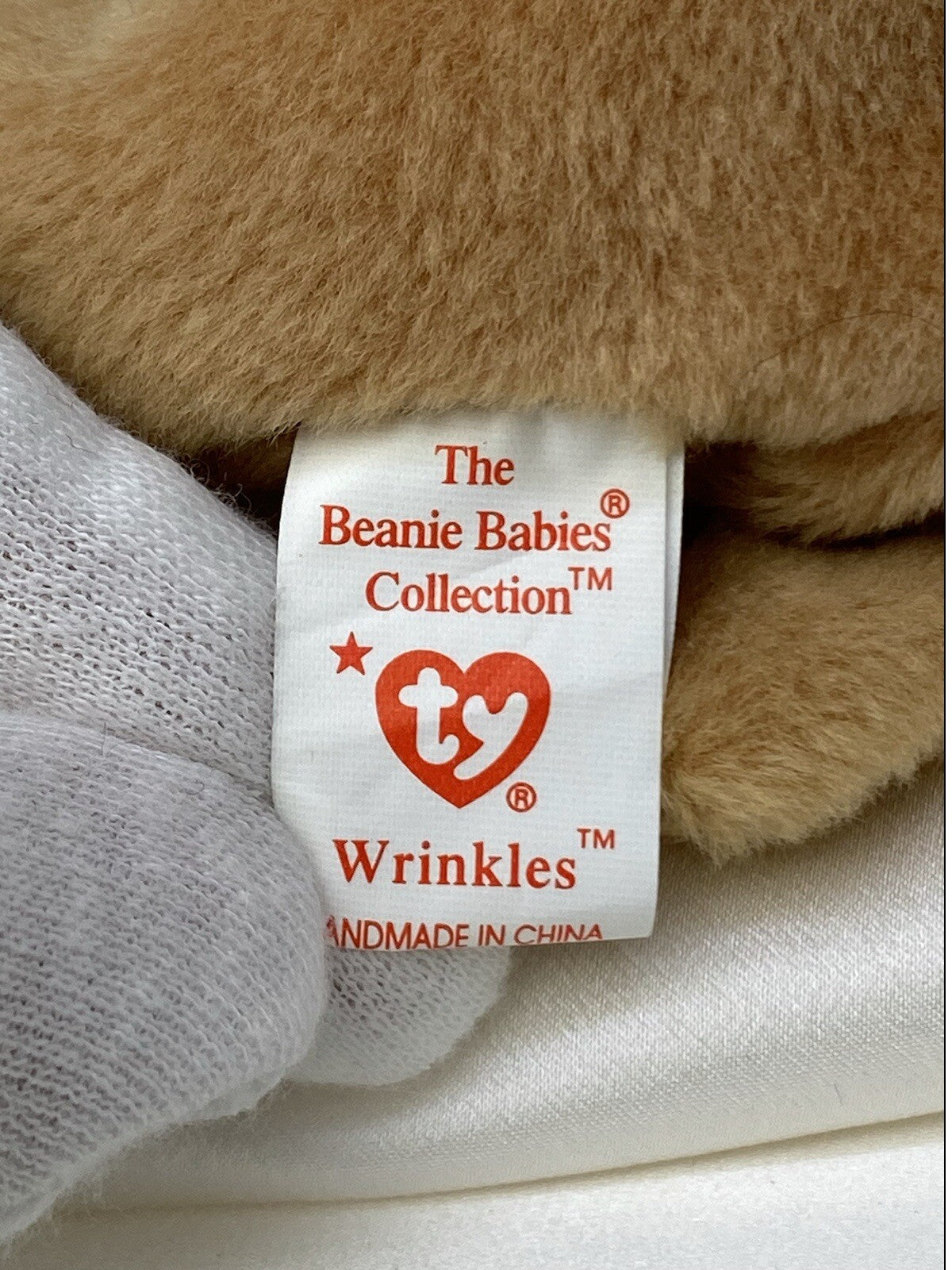 Rare Retired Ty Beanie Baby Wrinkles The Dog 1996 Mint P.V.C. W Numerous Errors