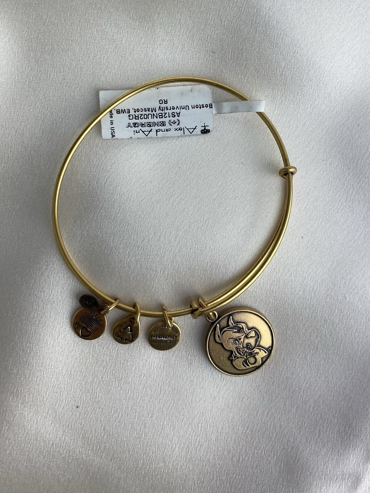 Alex and Ani Boston Pride University Mascot Rafaelian Gold Wrap Bracelet