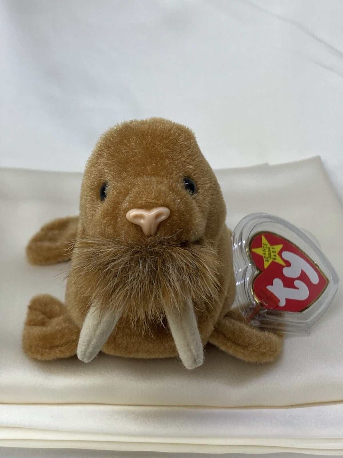 Rare Retired Ty Beanie Baby Paul The Walrus 1999 Mint P.E. Pellets With Errors