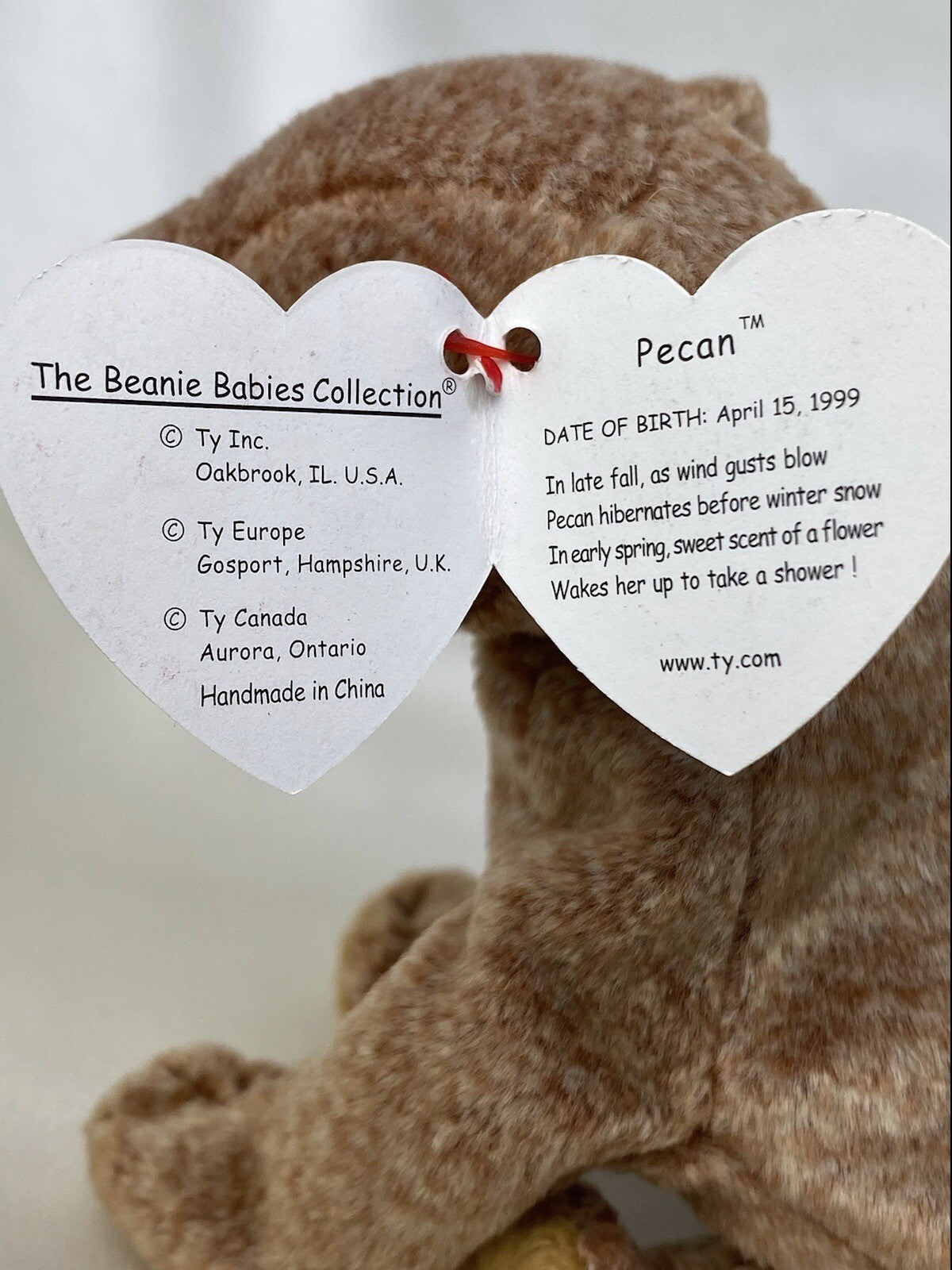 Rare Retired Ty Beanie Baby Pecan The Bear 1999 Mint P.E. Pellets With Errors