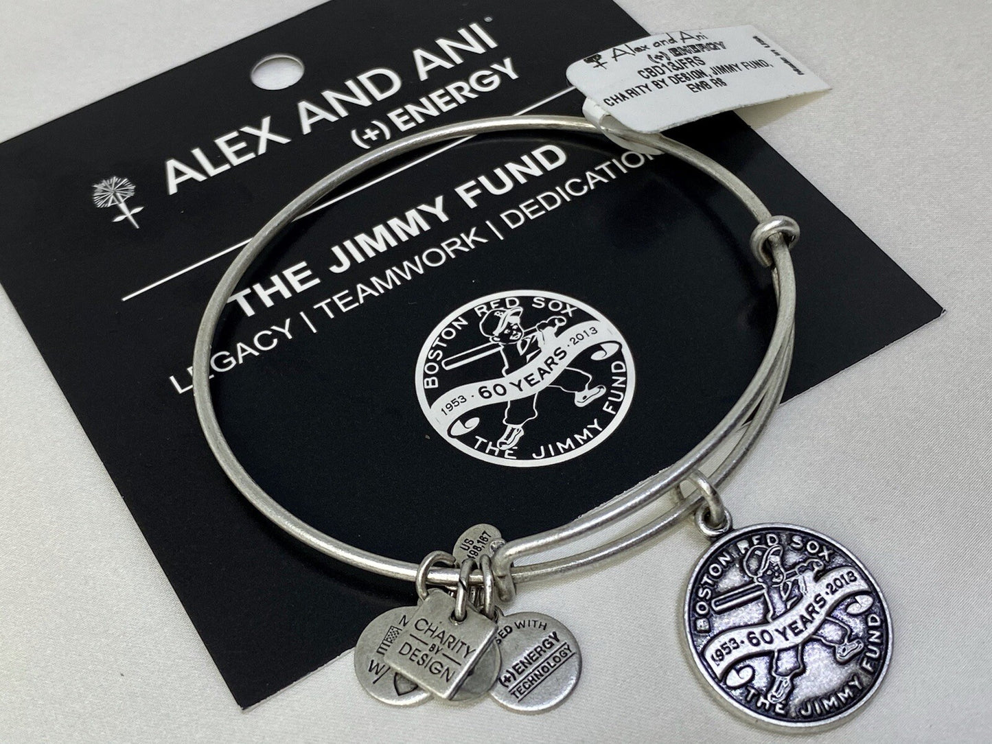 Alex and Ani $28 Charity The Jimmy Fund Boston Red Sox Rafaelian Silver Bracelet