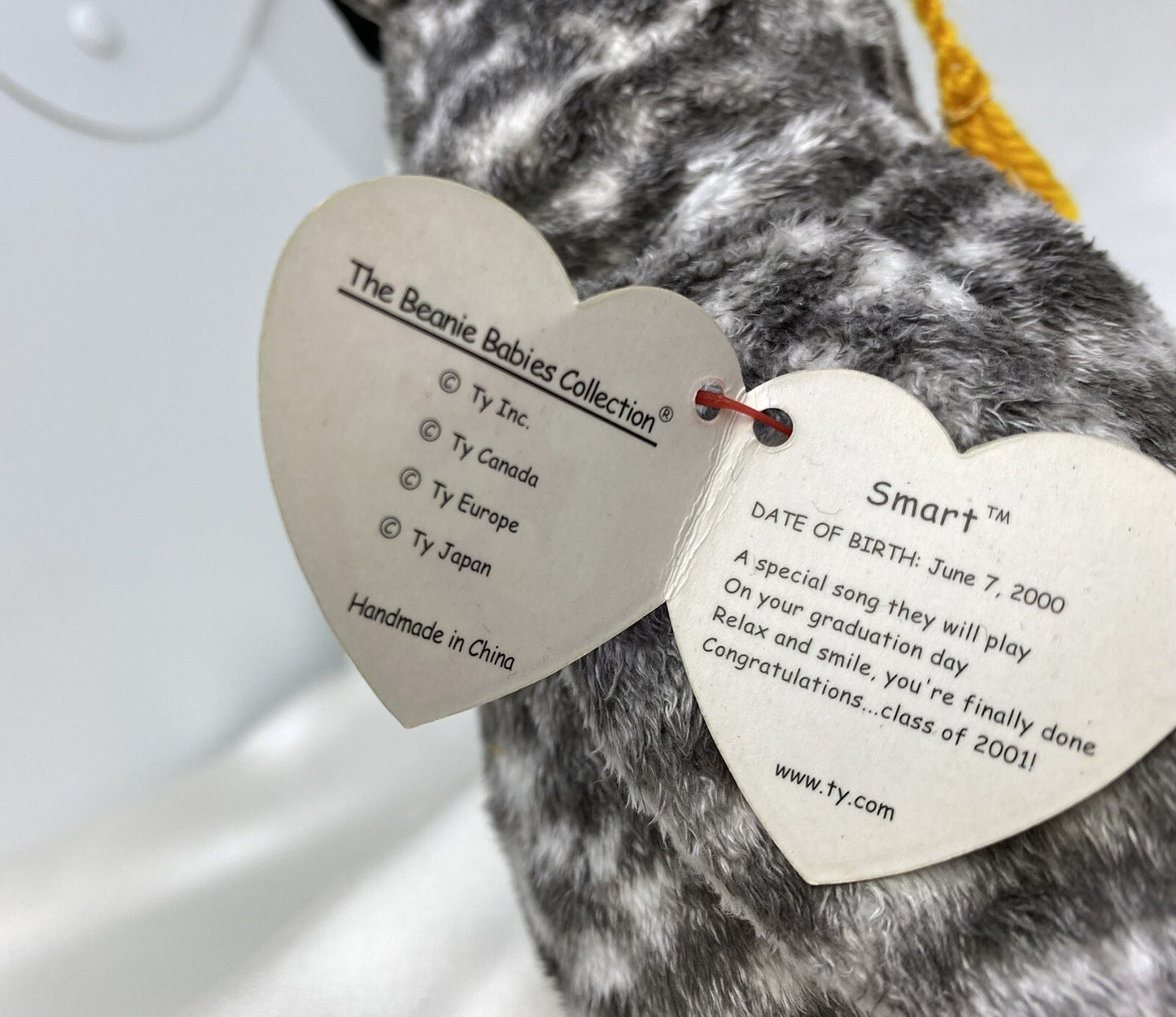 Ty Beanie Baby Smart Owl Class of 2001 Plush 2000 Hang Tag Protector with Errors