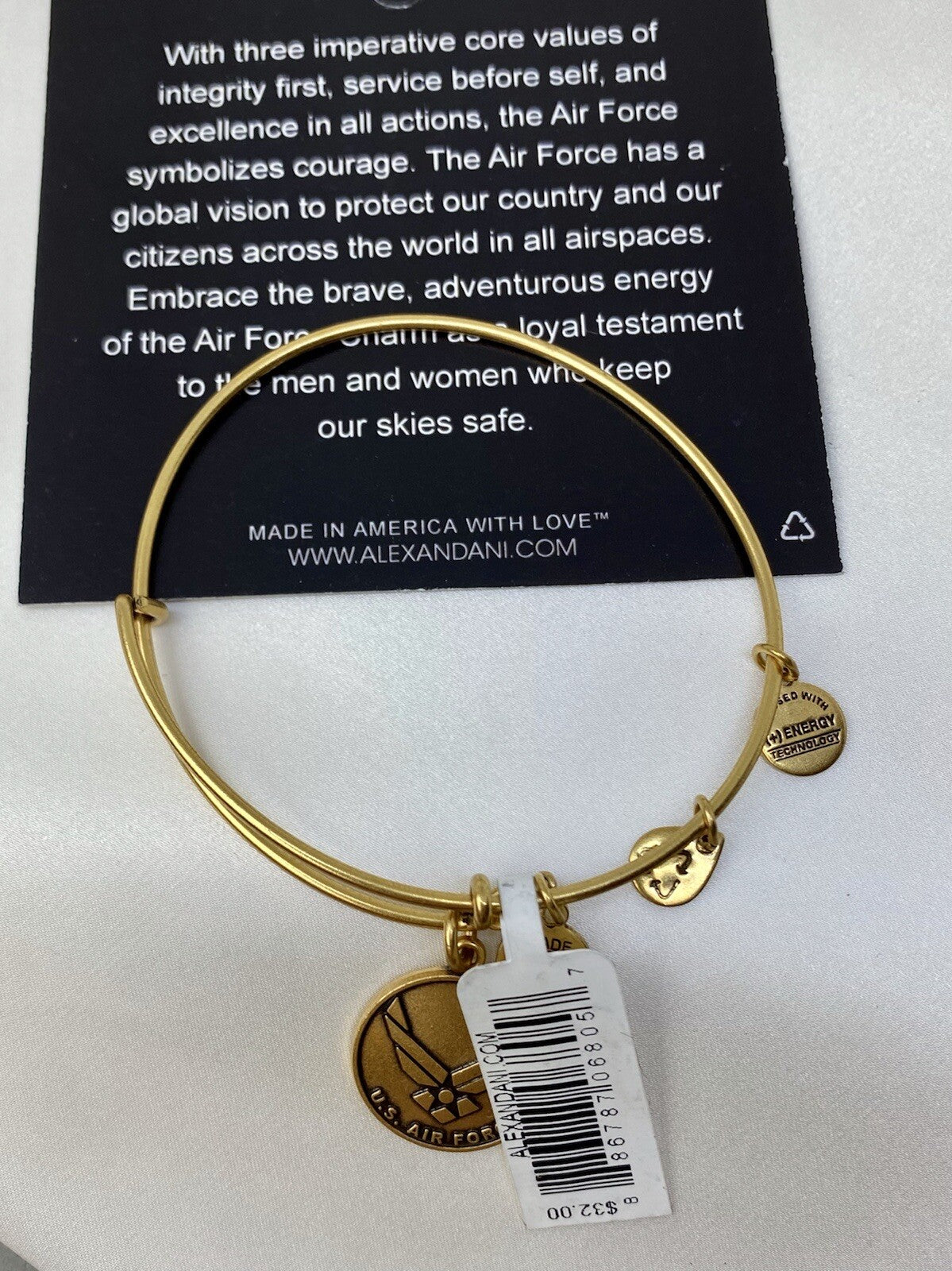 Alex and Ani US Air Force Rafaelian Gold Charm Bangle Bracelet Service