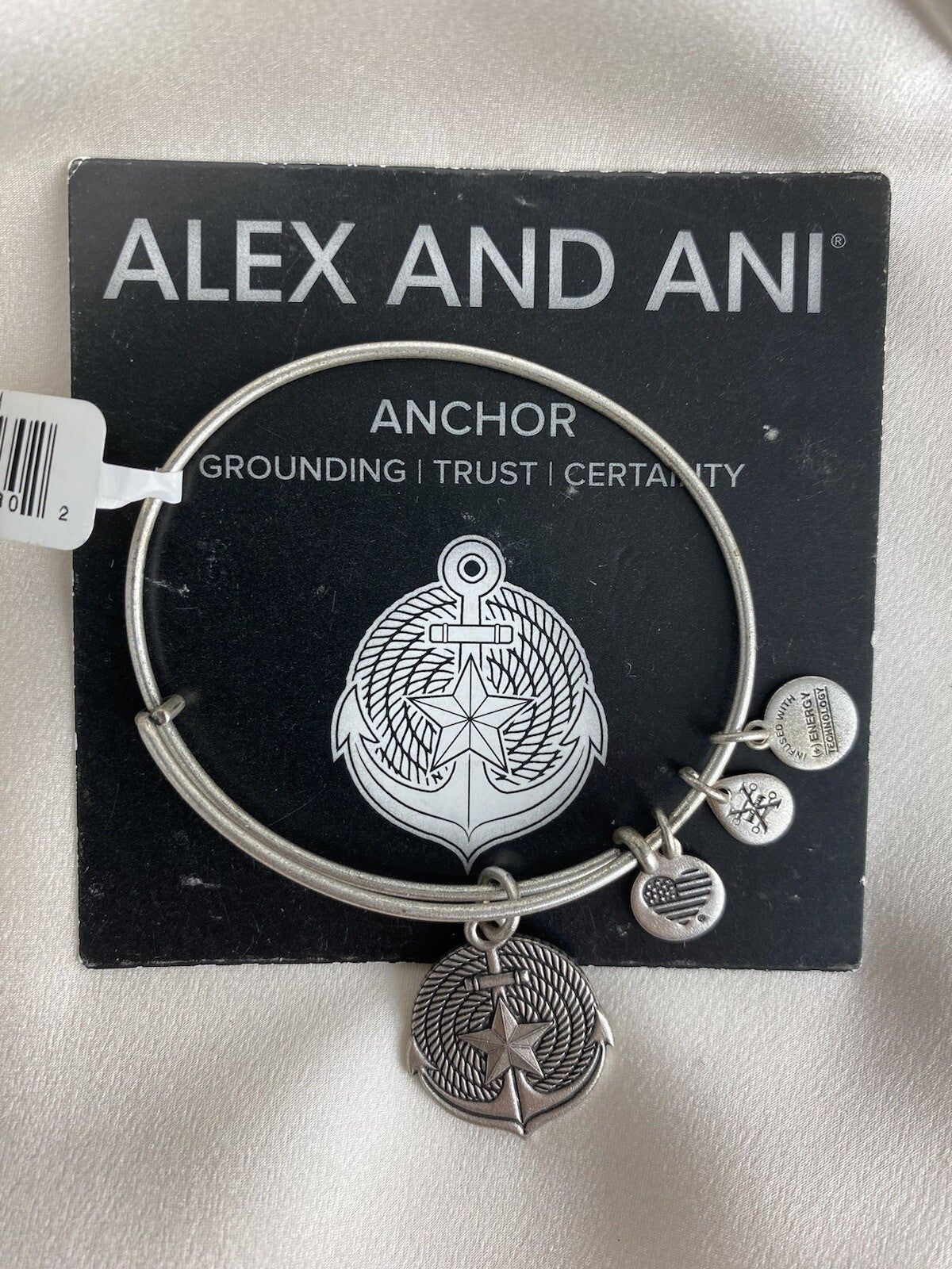 Pulsera ajustable con dije de ancla Rafaelian Silver de Alex and Ani