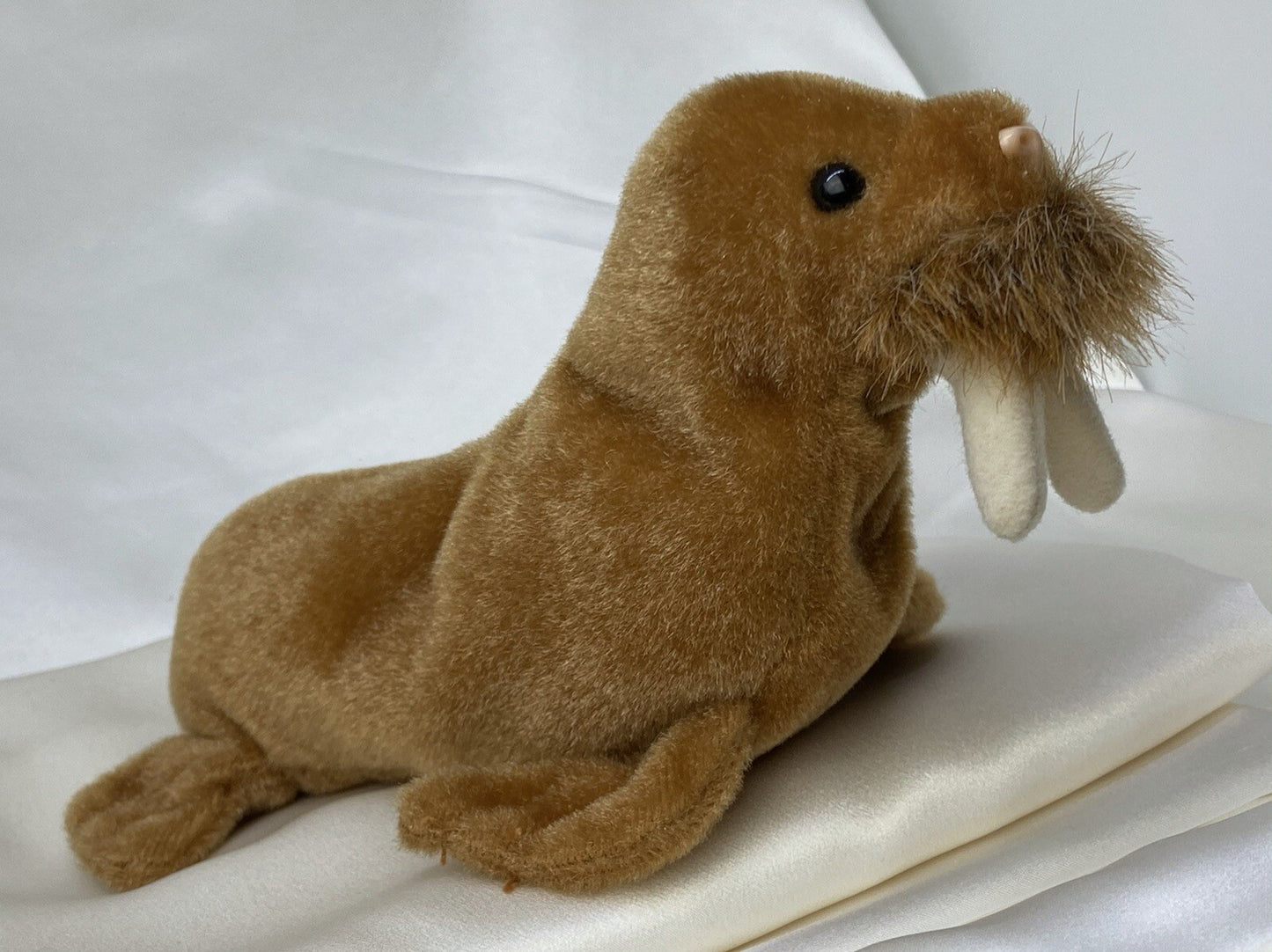 Rare Retired Ty Beanie Baby Paul The Walrus 1999 Mint P.E. Pellets With Errors