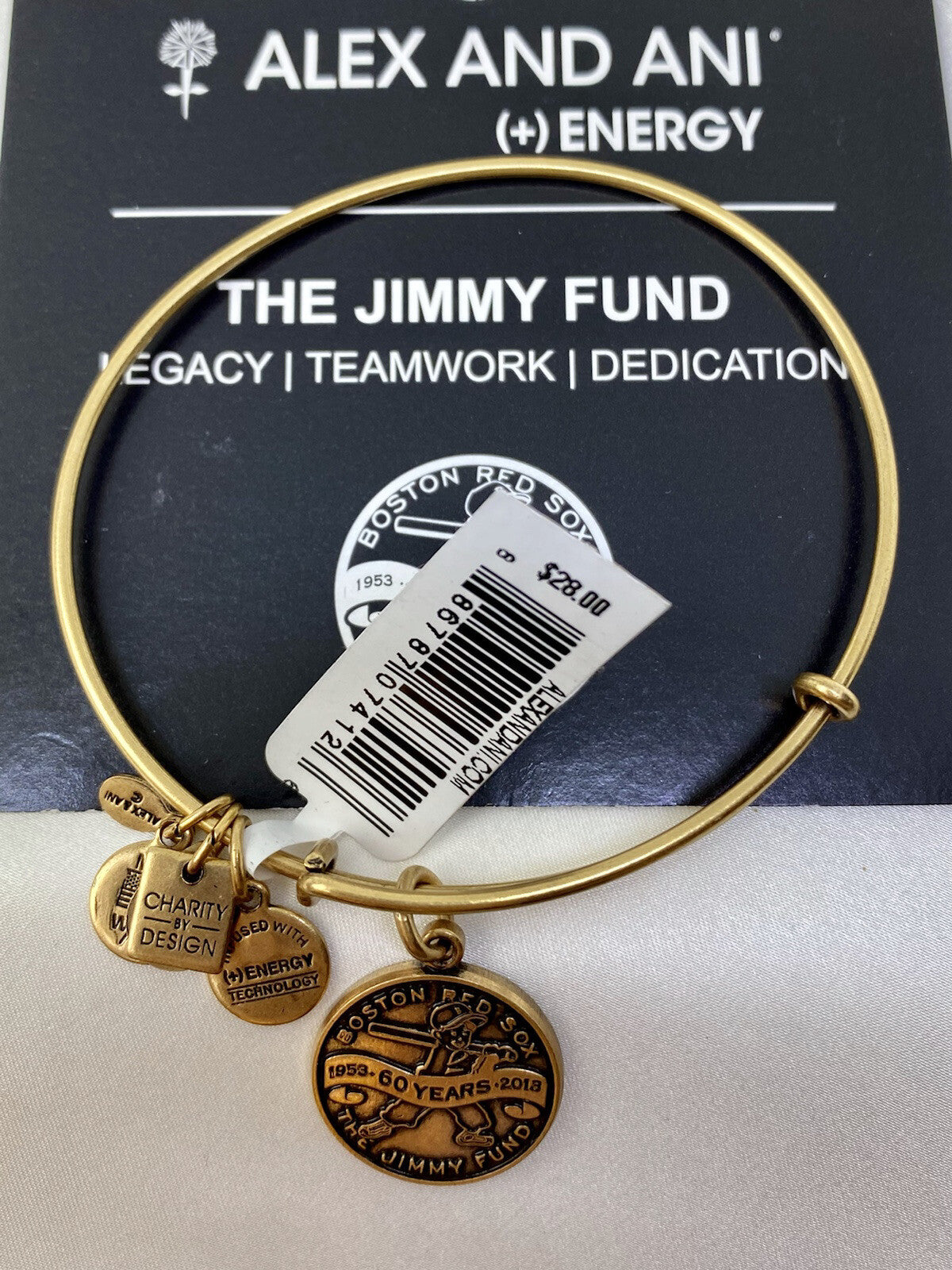 Alex and Ani $28 Charity The Jimmy Fund Boston Red Sox Gold Bangle Bracelet
