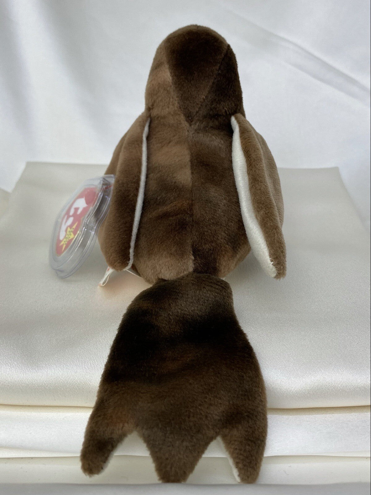 Rare Retired Ty Beanie Baby Early The Red Robin 1997-1998 Mint W Multiple Errors