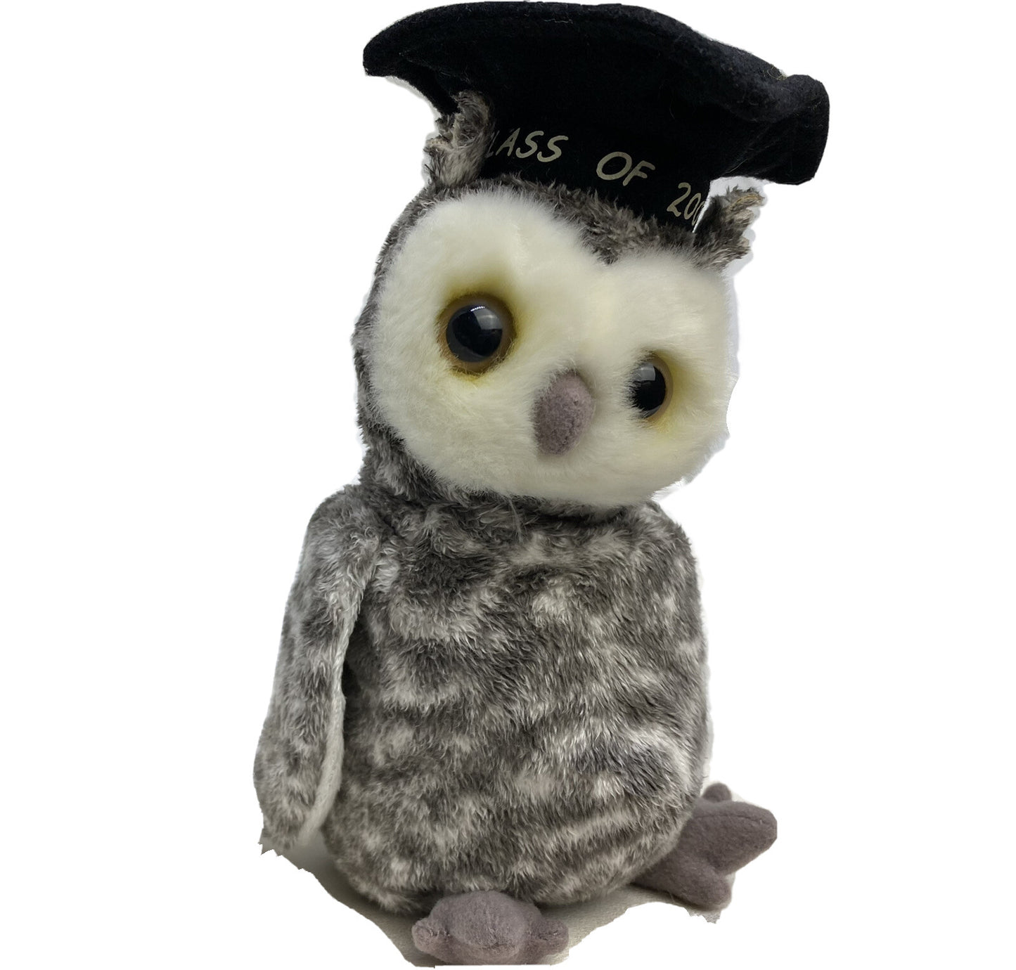 Ty Beanie Baby Smart Owl Class of 2001 Plush 2000 Hang Tag Protector with Errors