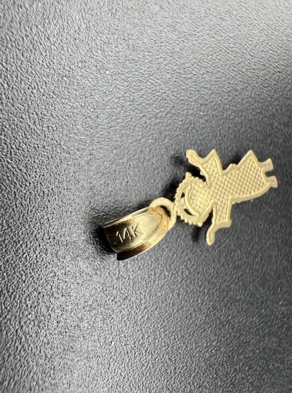 Colgante de 14 quilates de oro amarillo Divino Niño Jesús de 7.86x17.64mm Religioso