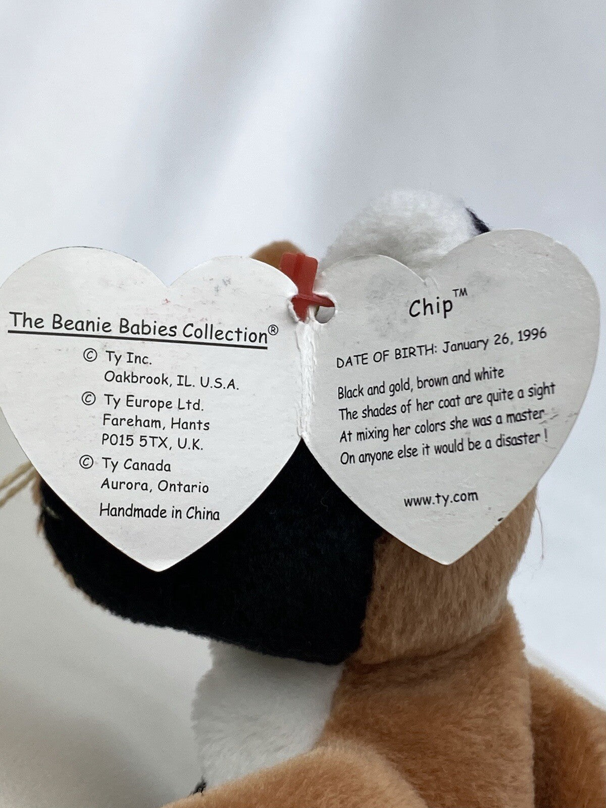 Rare Retired Ty Beanie Baby Chip The Cat 1996 Mint P.E. Pellets With Errors