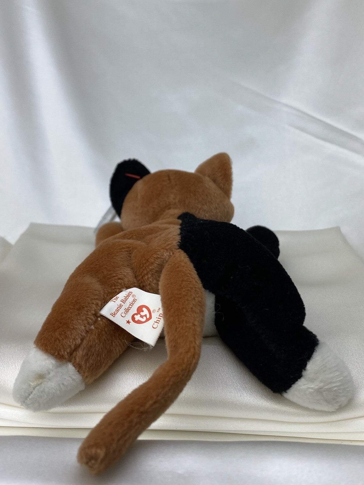 Rare Retired Ty Beanie Baby Chip The Cat 1996 Mint P.E. Pellets With Errors