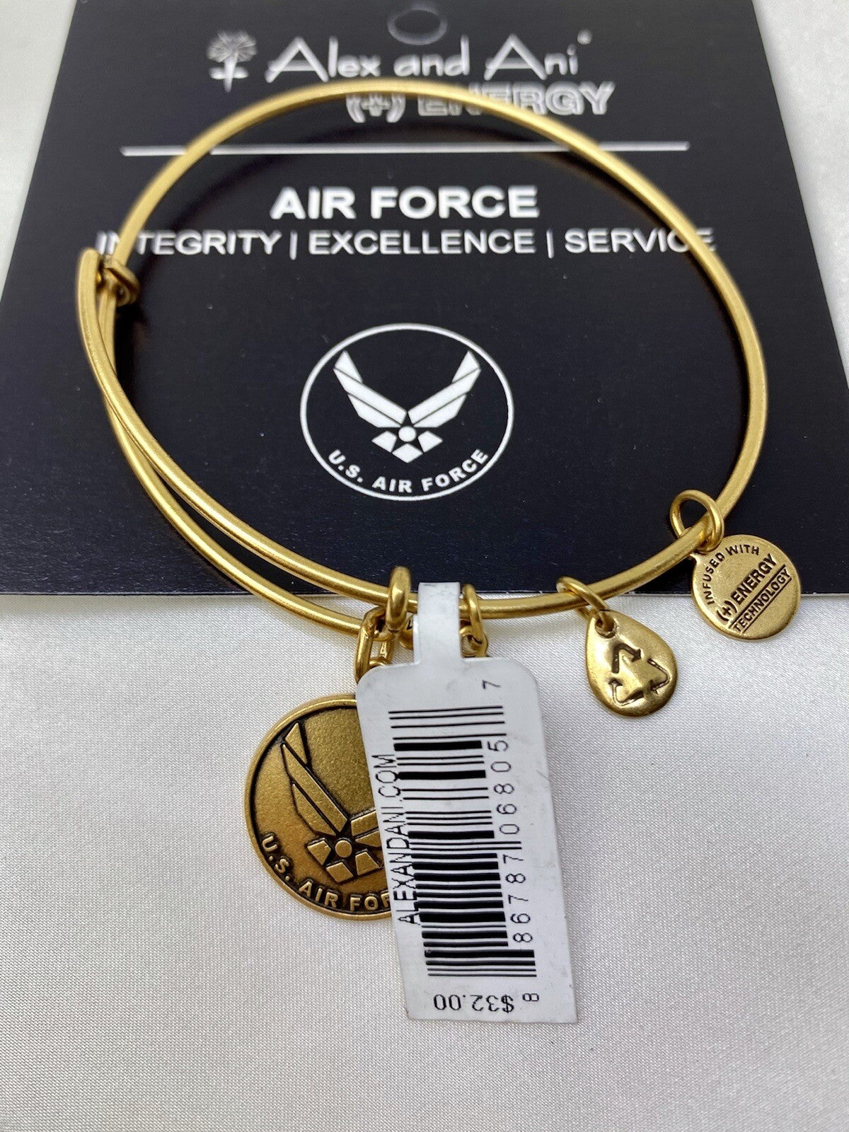 Alex and Ani US Air Force Rafaelian Gold Charm Bangle Bracelet Service