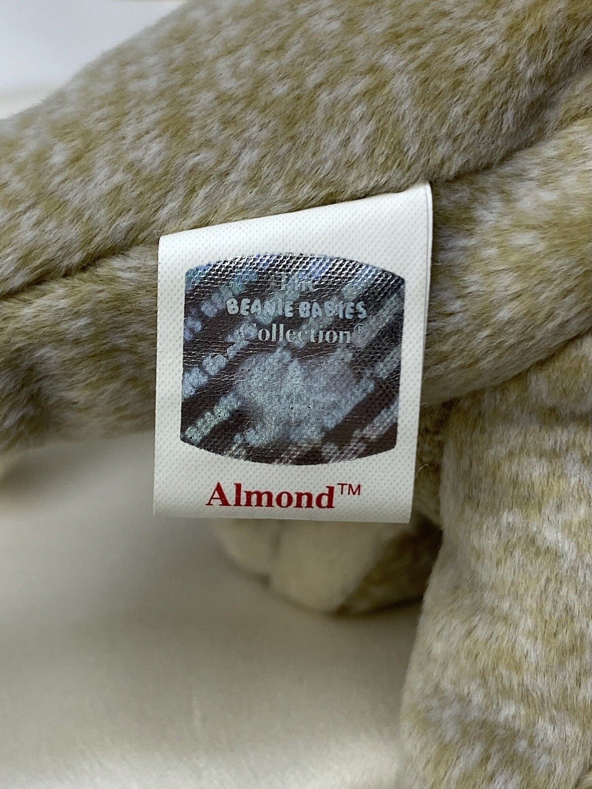 Rare Retired Ty Beanie Baby Almond The Bear 1999 Mint P.E. Pellets With Errors