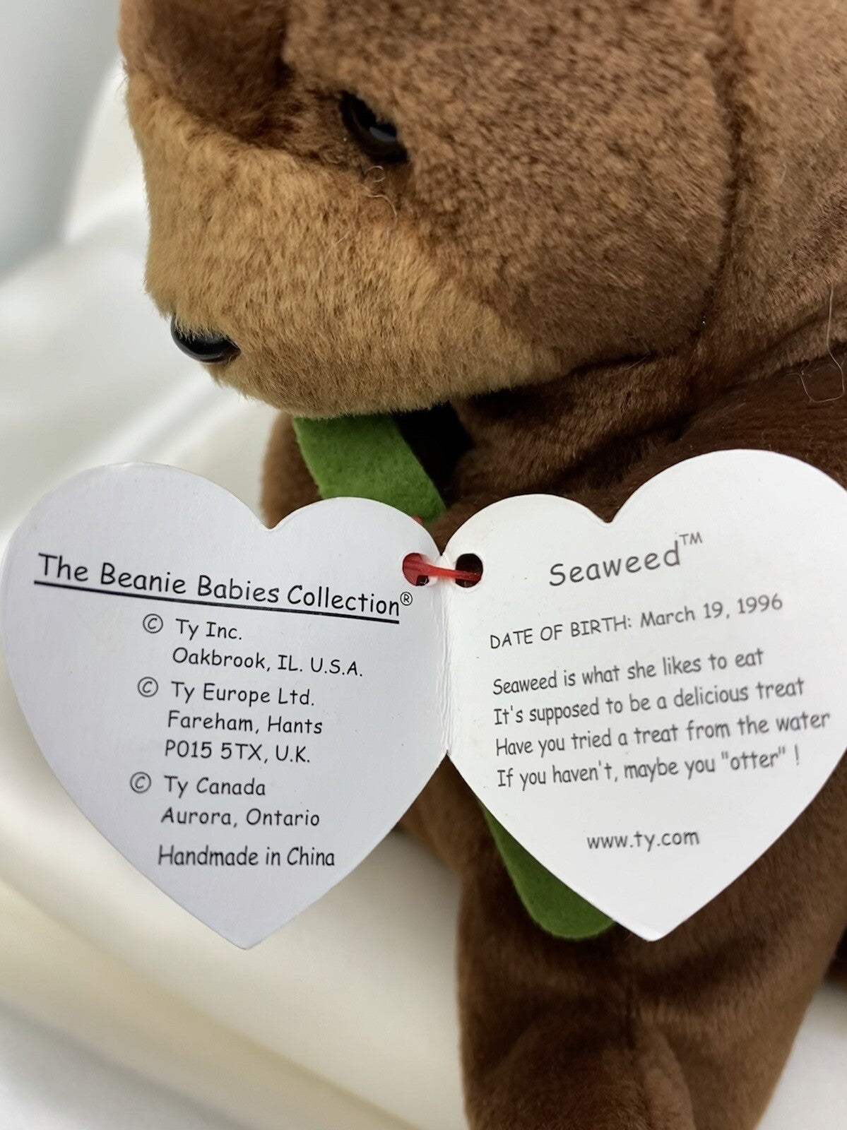 Nutria marina Ty Beanie Baby Seaweed, retirada, rara, 1995-1996, con bolitas y errores