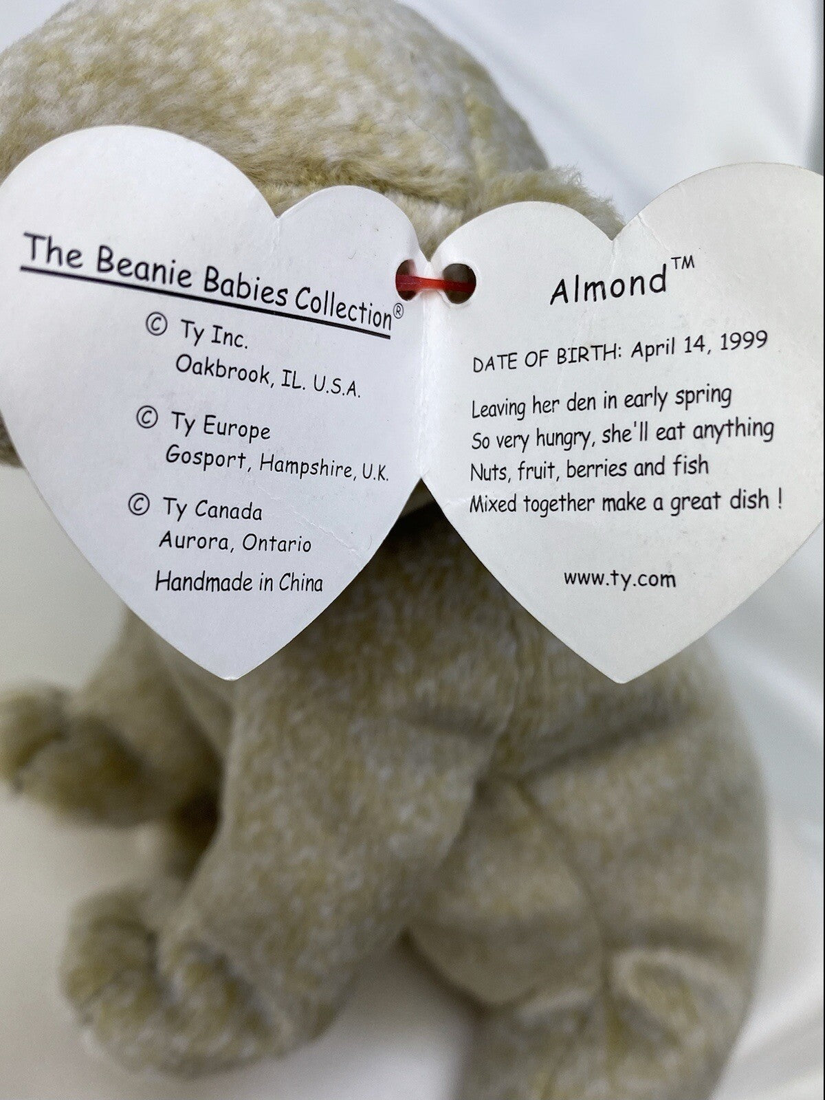 Rare Retired Ty Beanie Baby Almond The Bear 1999 Mint P.E. Pellets With Errors